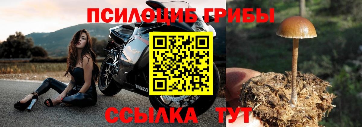 Звенигород  Галлюциногенные грибы ЛСД  Вход с VPN 